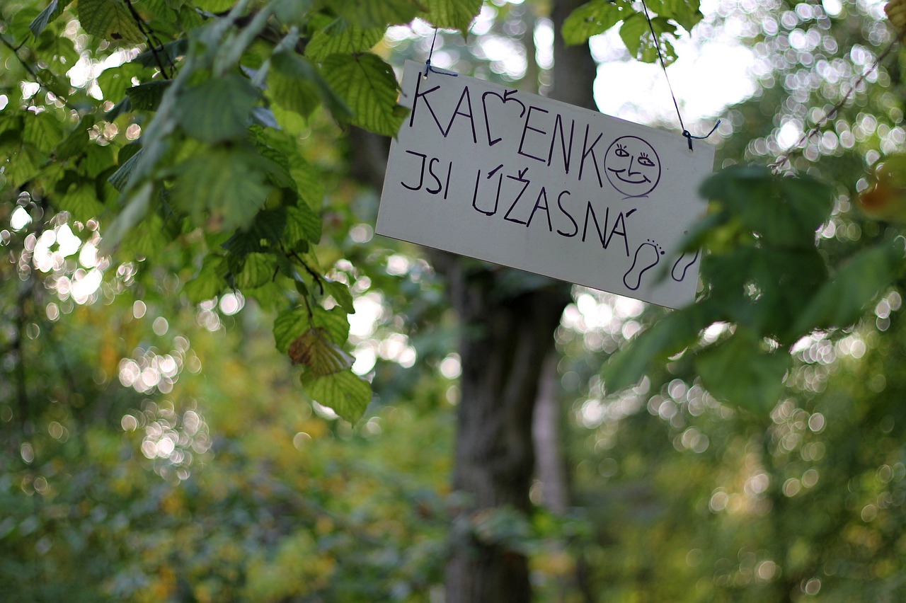 Vzkazy 5192269